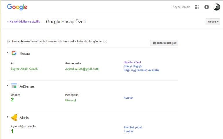 Google hesabınıza erişen oldu mu?