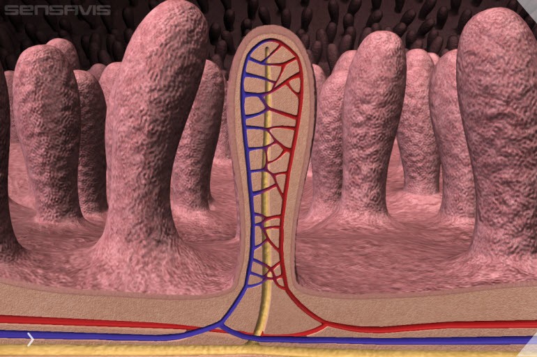 Educashow kapılarını açıyor!