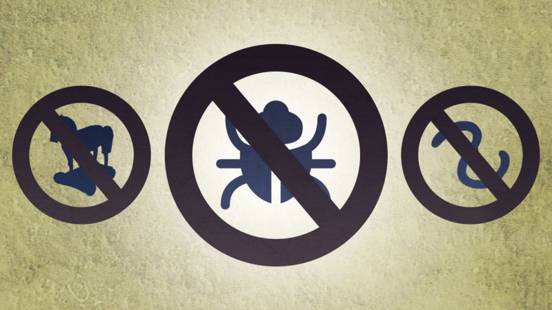 7. İyi bir antivirüs yazılımı kullanın