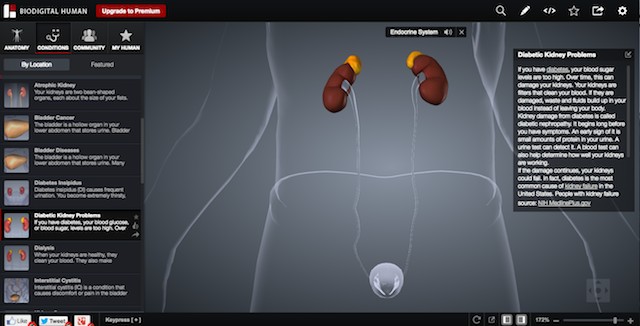 3 Chrome Experiments daha