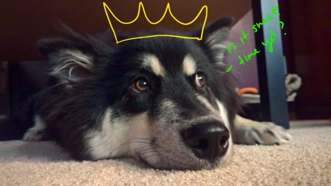 Microsoft, Windows Ink'e Önemli Yenilikler Getirdi