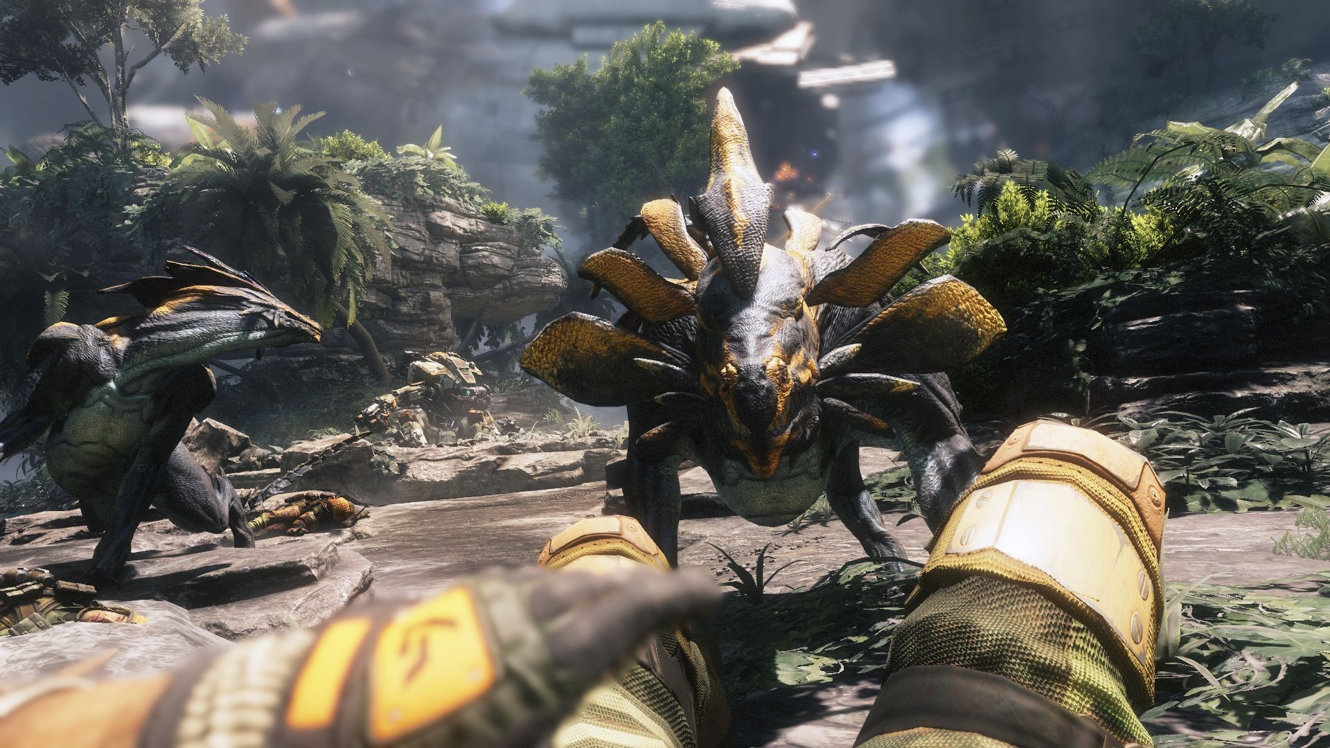 Değerlendirme & Bilgi