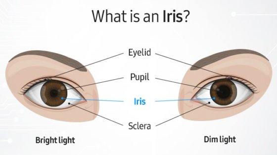 İris tarayıcısı nedir, nasıl çalışır?