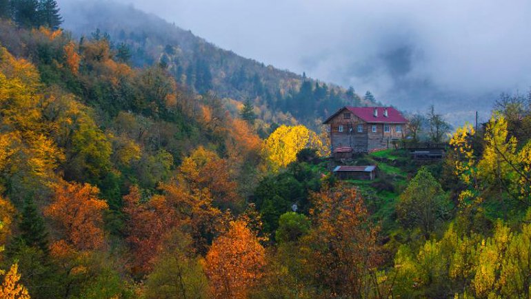 İşte Epson Fotoğraf Yarışmasının Kazananları