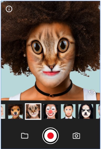 Face Swap by Wombatica Gold