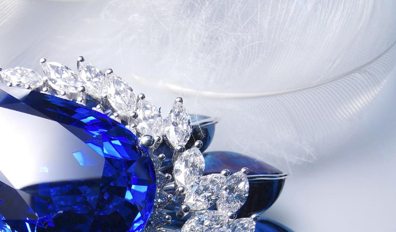 İnanılmaz netlikte makro fotoğraflar