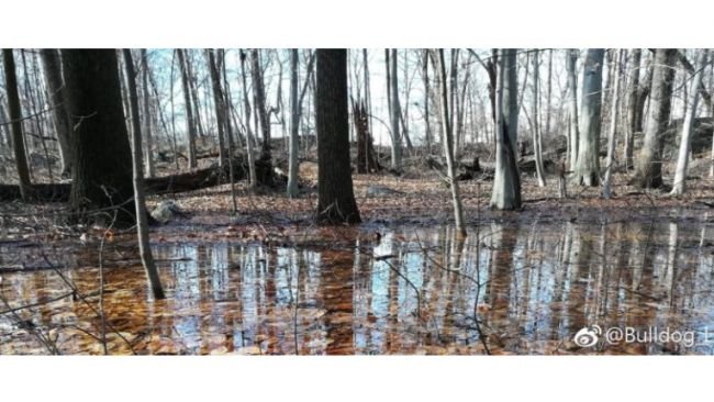 Sony Xperia XZ4'den İlk Gerçek Kare Geldi