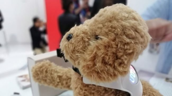 1. Inupathy Köpek His Sensörü