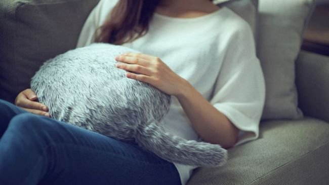 5. Yukai Qooboo Minder