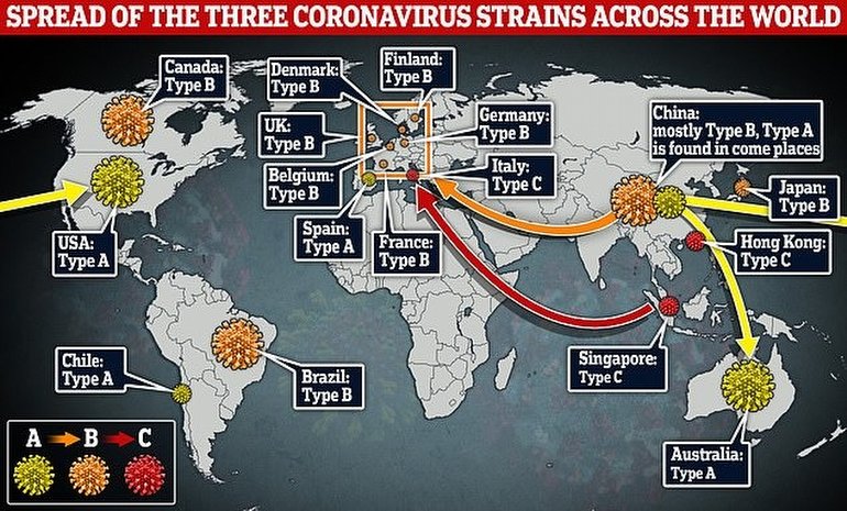 Tip A, Tip B ve Tip C Olmak Üzere, Üç Farklı Corona Virüsü Var