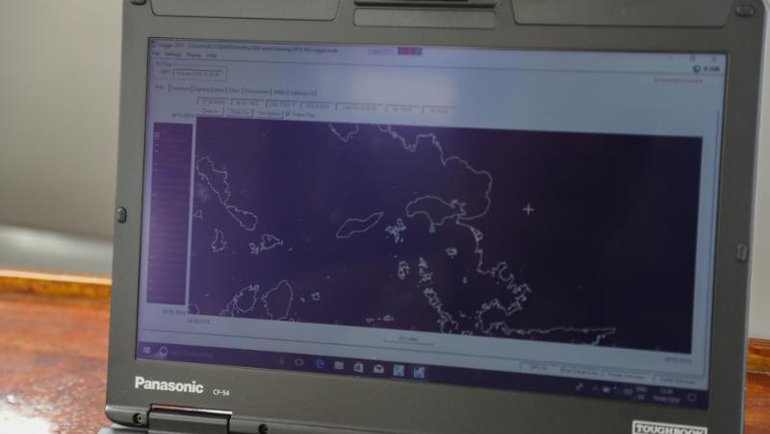 Akdeniz'deki Deniz Memelileri İnceleme Altına Alındı!