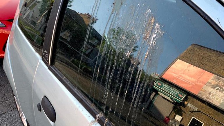 Kuş pisliği bilimi