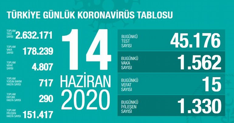 Koronavirüs, Coronavirüs