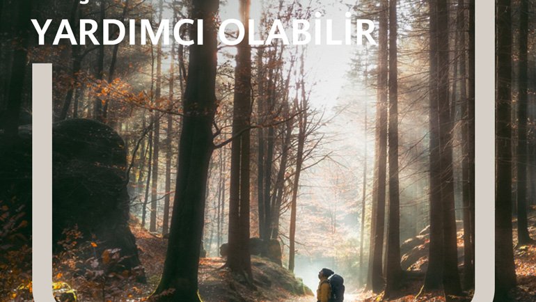 Huawei Next-Image Awards 2020 ile Fotoğraf Tutkunları Arasına Katılın!