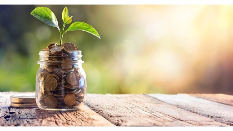 Epson, 816 Bin Ağacın Temizleyeceği Kadar Kirliliği Azalttı