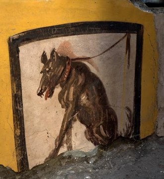 Pompeii'nin Yanardağ Kalıntılarından Çıkan, 2.100 Yıllık 
