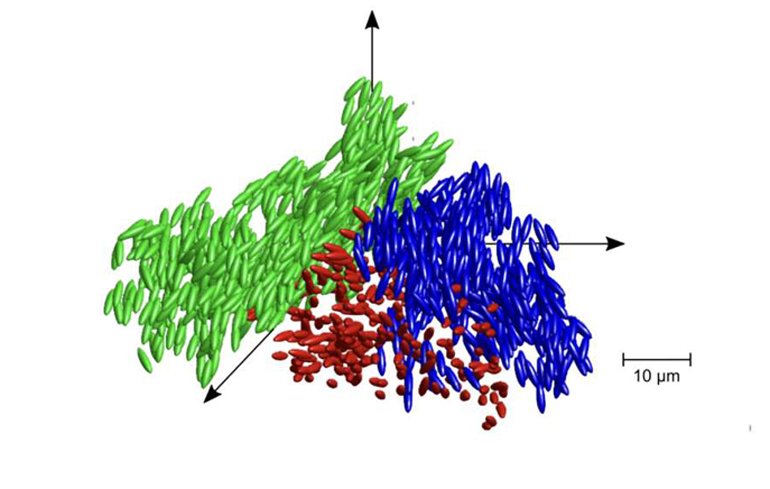 Bilim İnsanları Maddenin Yeni Halini Açıkladı: Sıvı Cam!