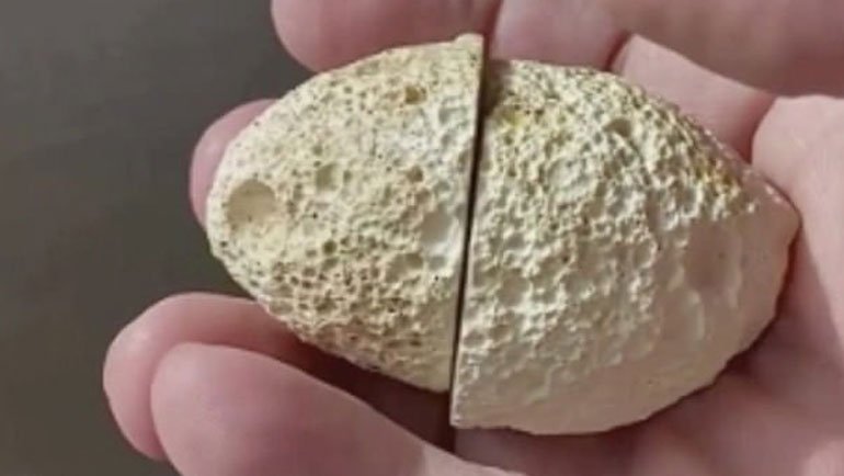 Brezilya'da Bulunan Bu Taş, İçinden Çıkanla 