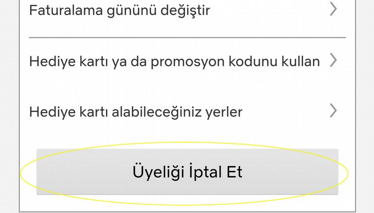 Netflix Üyelik Kapatma 2021: Netflix Üyeliği Nasıl İptal Edilir?