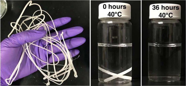 Bilim Dünyasının Plastik Zaferi: Gerçek Biyo-bozunur Plastik Ürettiler!