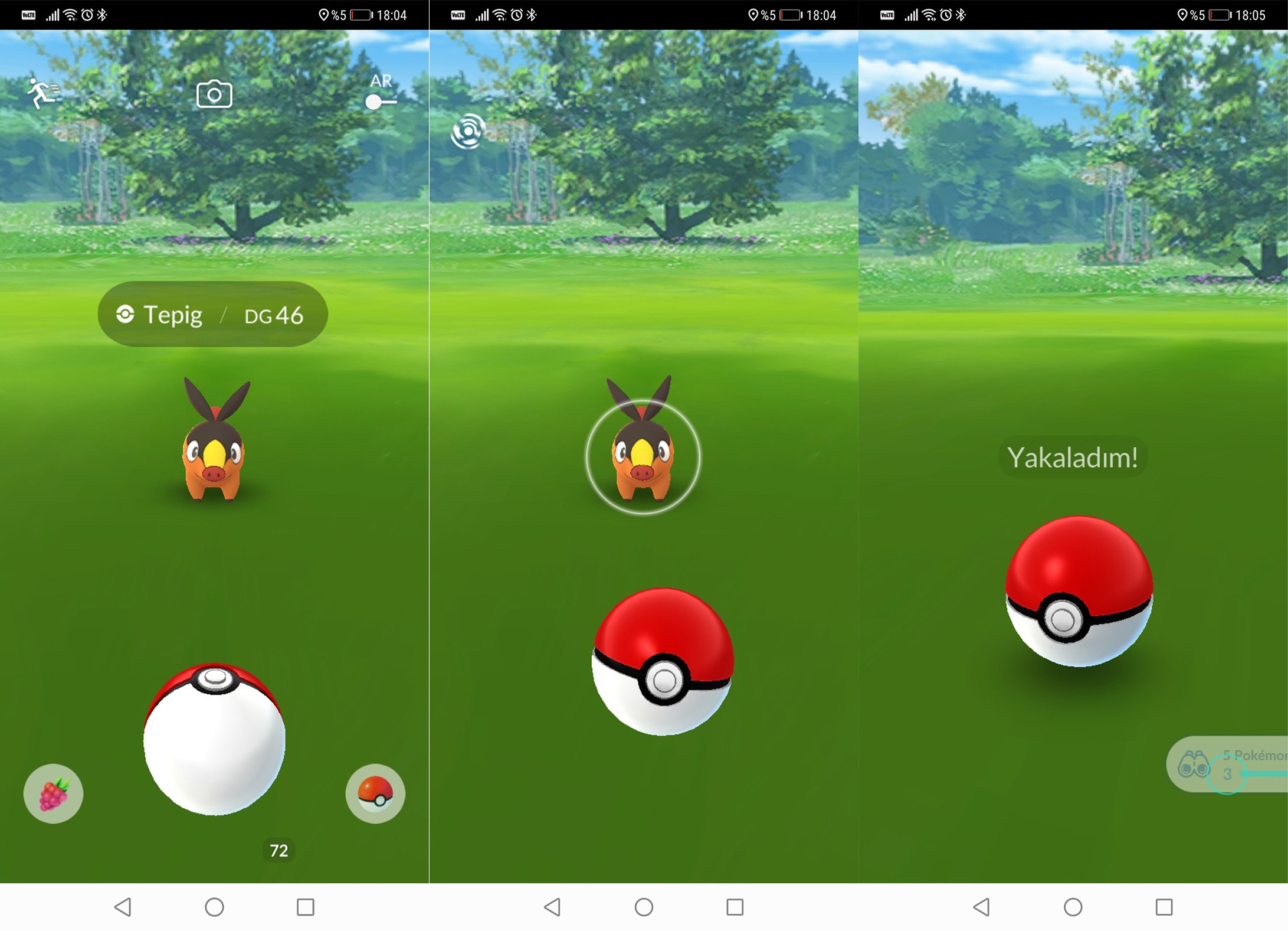 Pokémon Nasıl Yakalanır?