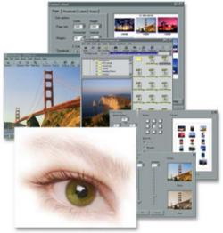 Herşey İçin Tek Program