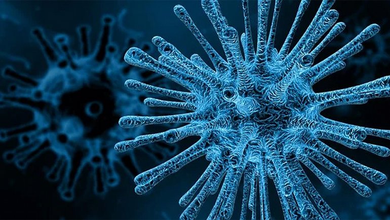COVID-19 Pandemisi Endemi mi Oluyor? Endemi Nedir, Pandemiden Ne Farkı Var?