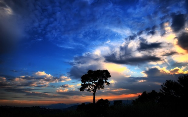 природа деревья море облака горизонт небо скачать