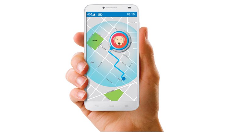 Her an gözünüzün önünde