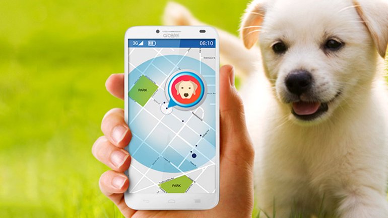 Evcil hayvanınıza uygun yapı