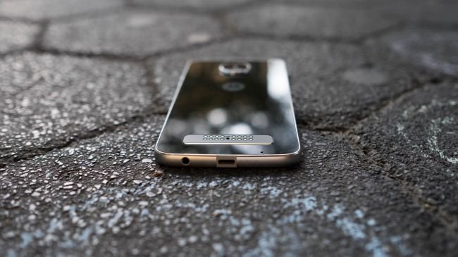 Teknik kadro ve performans